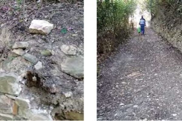 Le immagini accostate mostrano lo stato di conservazione delle mura dei viali all'interno dell'ambito del bosco che risultano dissestate e con porzioni crollate.