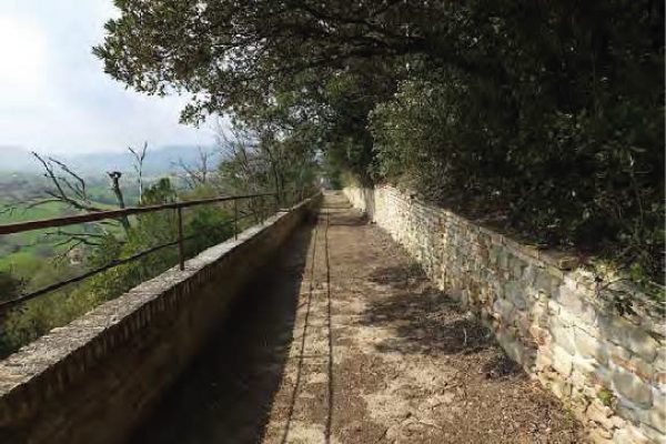 La foto mostra il viale all'interno dell'ambito del bosco costituito da un muro di contenimento del terreno a destra e un muretto con ringhiera a sinistra.