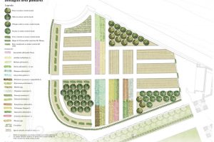 Il disegno mostra la sistemazione in planimetria del sistema del verde nell'orto pomario . Il progetto settorializza lo spazio del giardino che si può leggere grazie alla legenda delle essenze arboree usate.