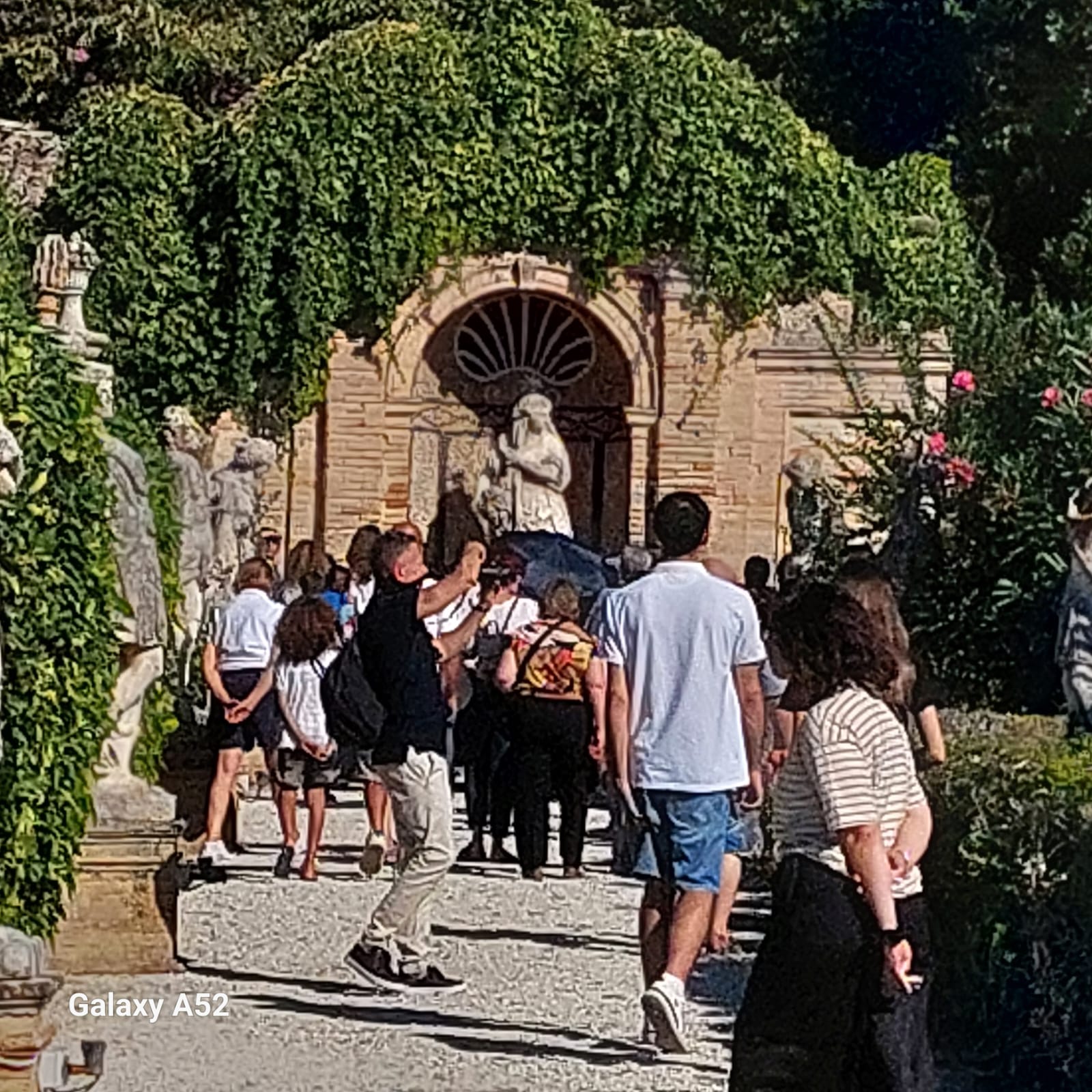 buonaccorsi buonaccorsi